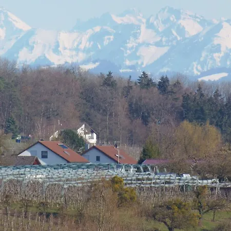 Desirée Apartment Friedrichshafen